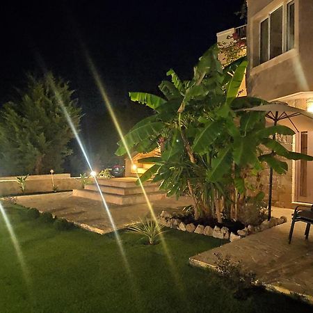 Xenia'S Countryside Guesthouse Agia Marina エクステリア 写真