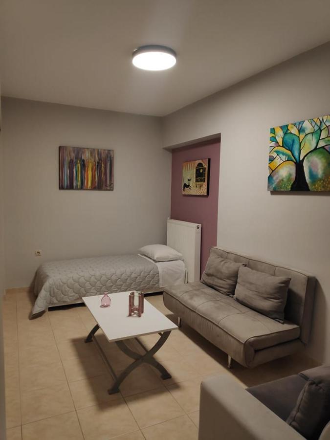Xenia'S Countryside Guesthouse Agia Marina エクステリア 写真