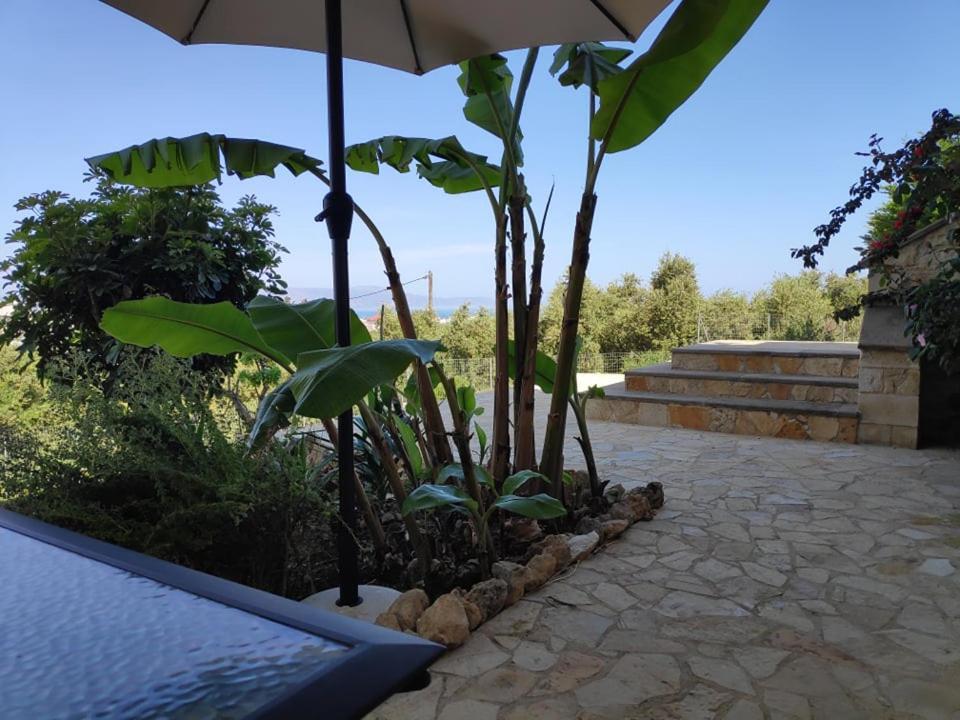 Xenia'S Countryside Guesthouse Agia Marina エクステリア 写真