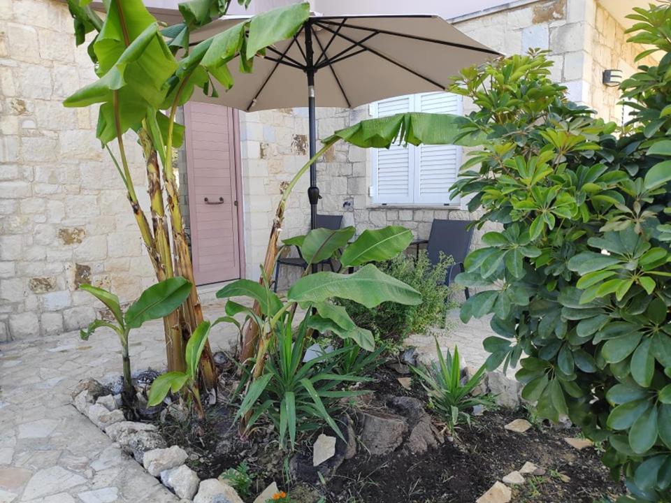 Xenia'S Countryside Guesthouse Agia Marina エクステリア 写真