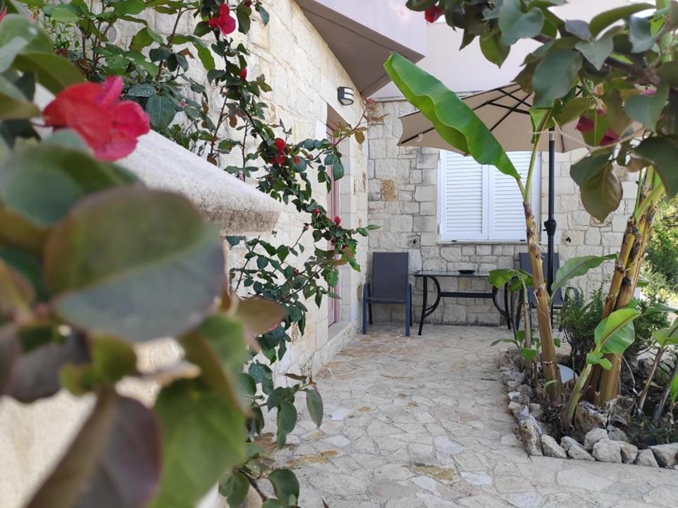 Xenia'S Countryside Guesthouse Agia Marina エクステリア 写真