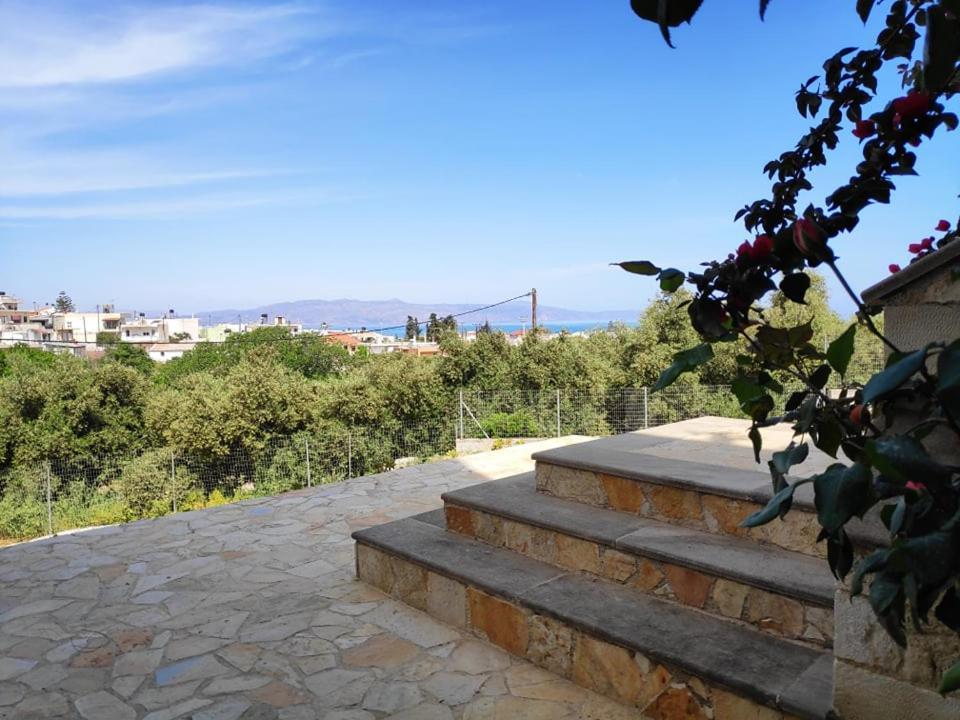 Xenia'S Countryside Guesthouse Agia Marina エクステリア 写真
