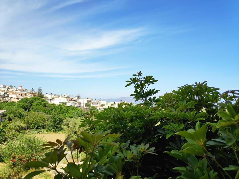 Xenia'S Countryside Guesthouse Agia Marina エクステリア 写真