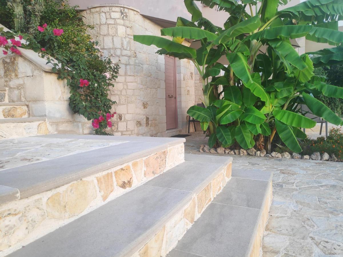 Xenia'S Countryside Guesthouse Agia Marina エクステリア 写真