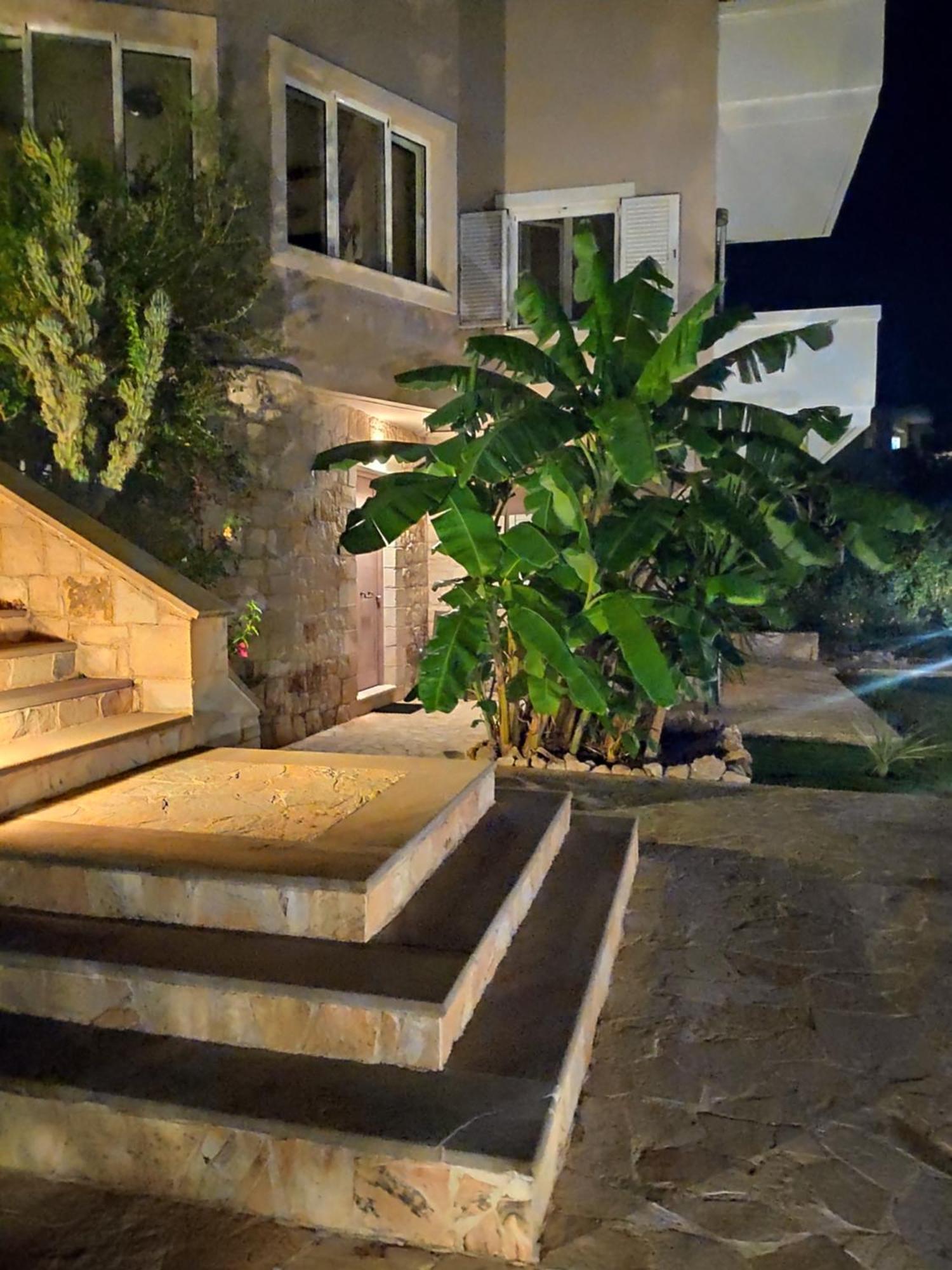 Xenia'S Countryside Guesthouse Agia Marina エクステリア 写真